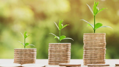 Rethinking Mortality: A State-Based Dynamic Probabilistic Modelling Approach Using National-Scale Health Data featured image